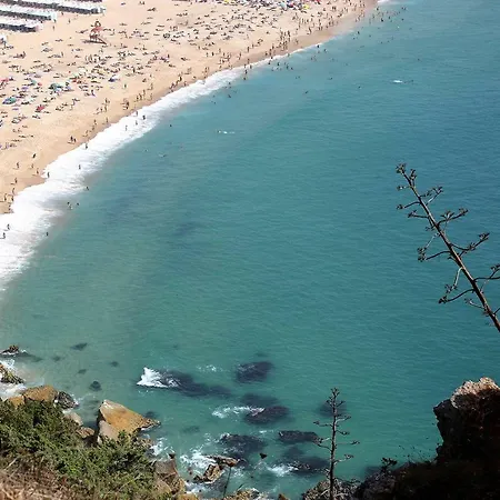 T4 Luis 公寓 纳扎雷