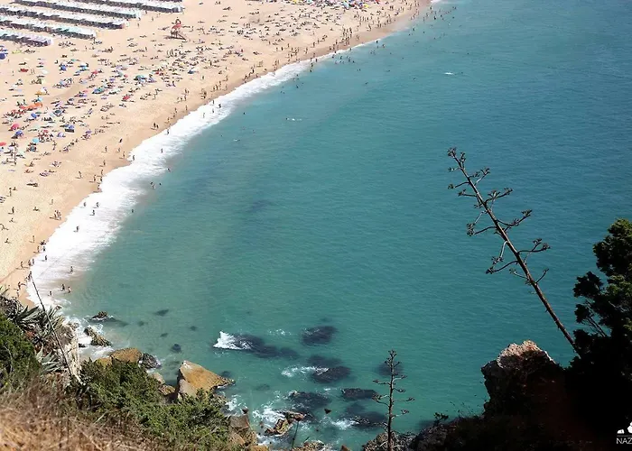 T4 Luis דירה נאזרה